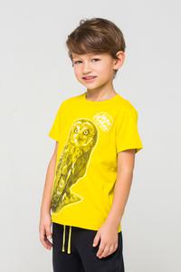 К 300740/к1239 - Фуфайка для мальчика, Crockid